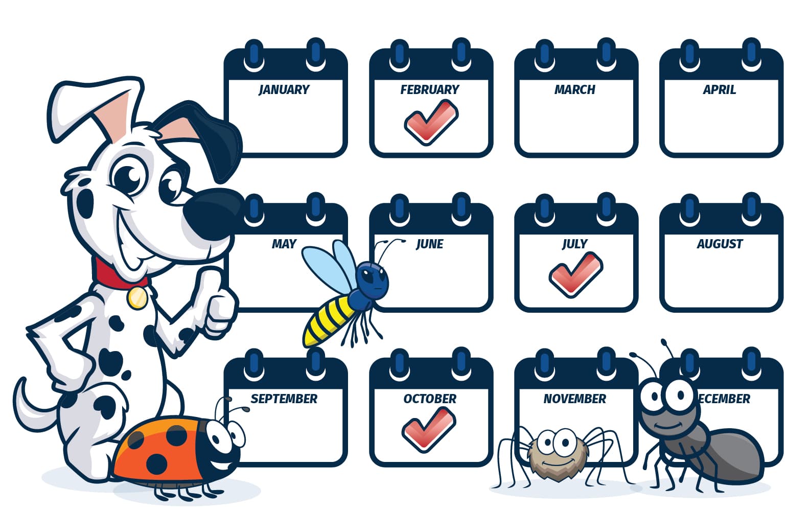 Best Pest Advice, Maintain Pest Control Services maintain regular pest control