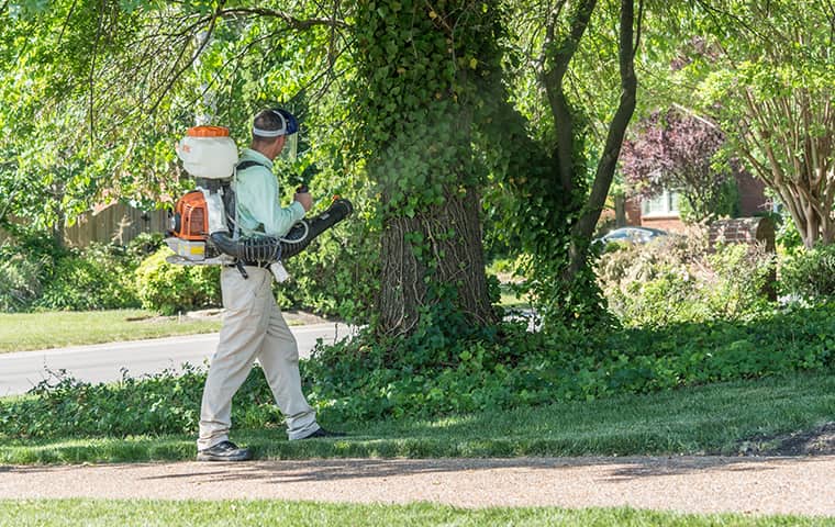 all american tech providing mosquito control services in forest hill tennessee