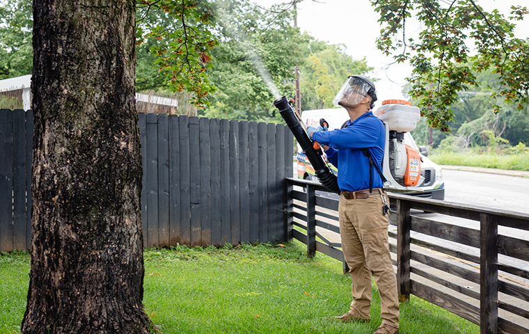 mosquito misting trees