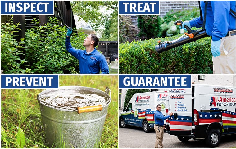 mosquito control steps