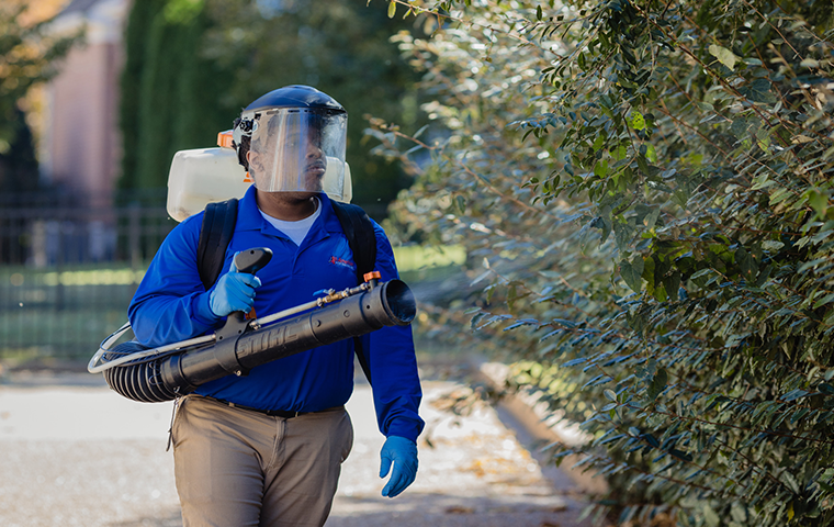 Mosquito Control Services In Nashville mosquito misting
