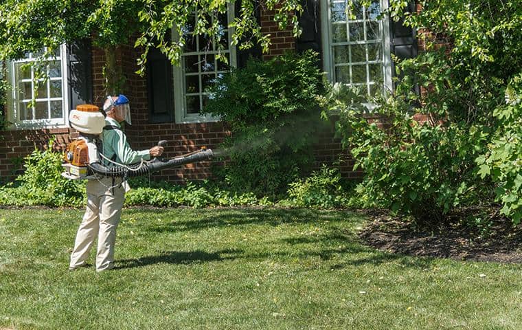 Keep Mosquitoes, Outdoor Spiders & Other Pests Out Of Your Yard mosquito control expert treating nashville yard