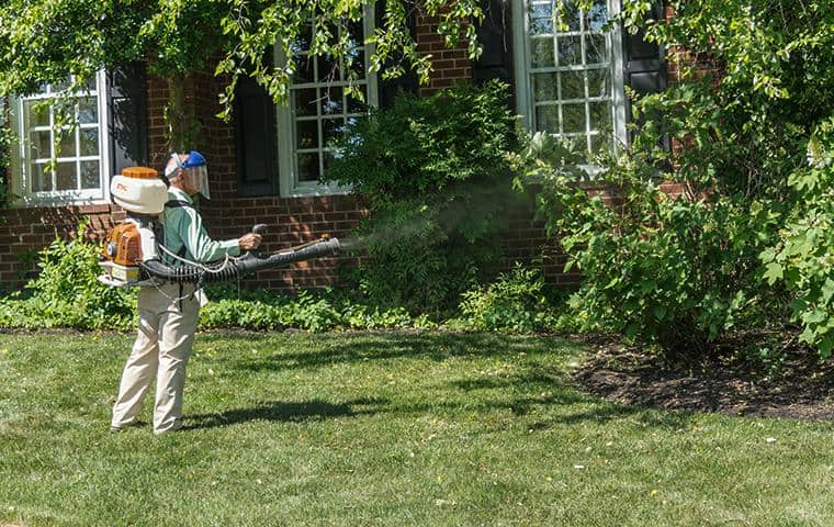 mosquito control expert treating nashville yard