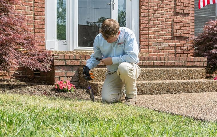 all-american termite control specialist checking sentricon station