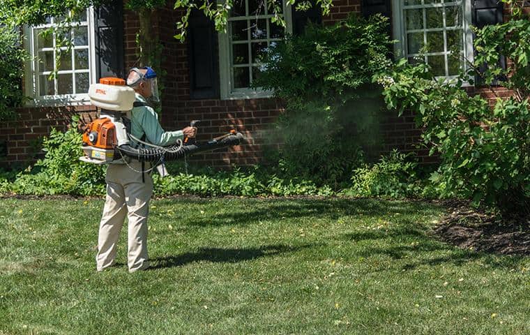 backyard pest treatment for mosquitoes, ticks and other outdoor pests in nashville