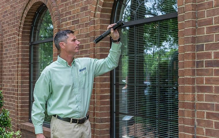 technician inspecting a business for pests