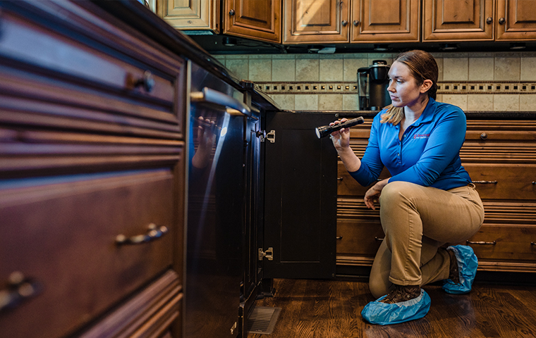 Learn More About Home Pest Control In Lewisburg TN all american tech servicing a kitchen in lewisburg tennessee
