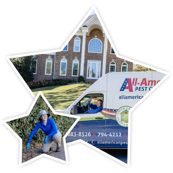 Learn More About Pest Control In Mt. Juliet, Tennessee pest control stars