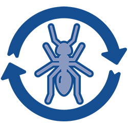icon of recurring ant infestation