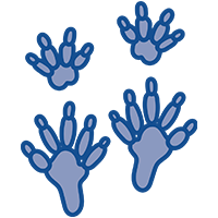 rodent print icon