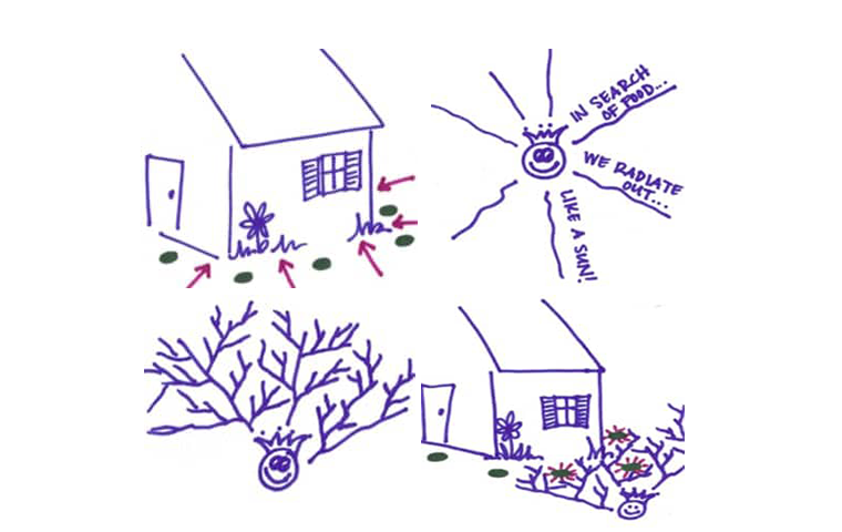 How Does Sentricon Work drawing of sentricon system