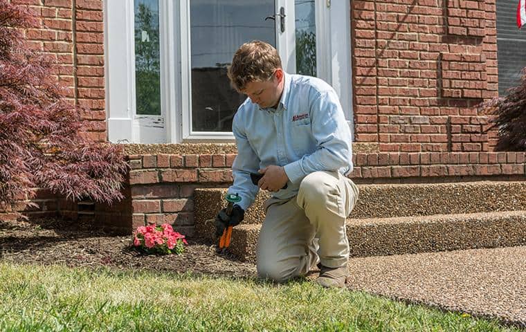 technician treating a home for termites