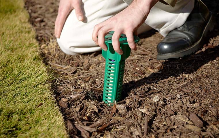 Eliminate Termites With Sentricon nashville pest control specialist installing sentricon