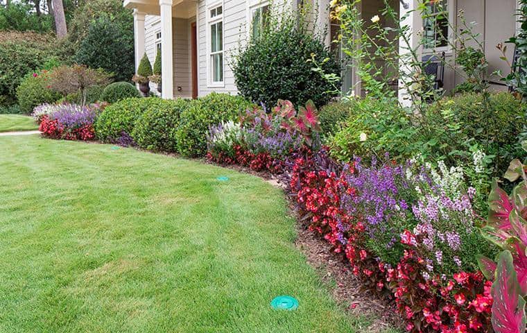 This Home Is Protected By Sentricon nashville home protected by sentricon