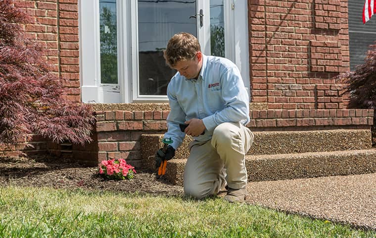 Protect Your Home From Termites In Antioch TN all american tech providing termite services outside of clients home in antioch tennessee