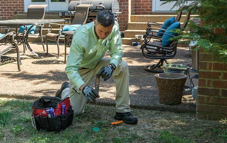 Learn More About Termite Control In Ashland City TN all american tech providing termite control services outside of ashland city tennessee home