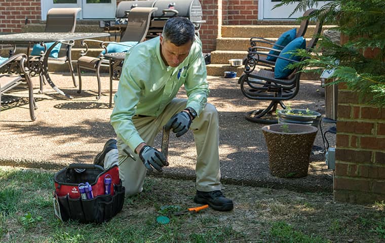 all american tech providing termite control services outside of ashland city tennessee home