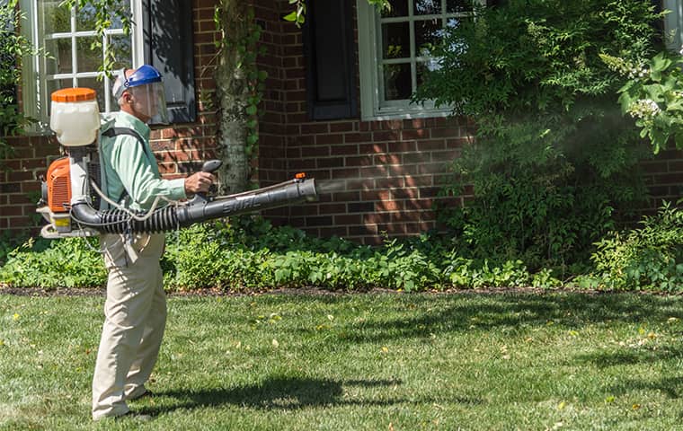 pest control technician treating west nashville yard for mosquitoes