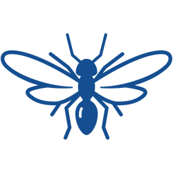 icon of flying ant