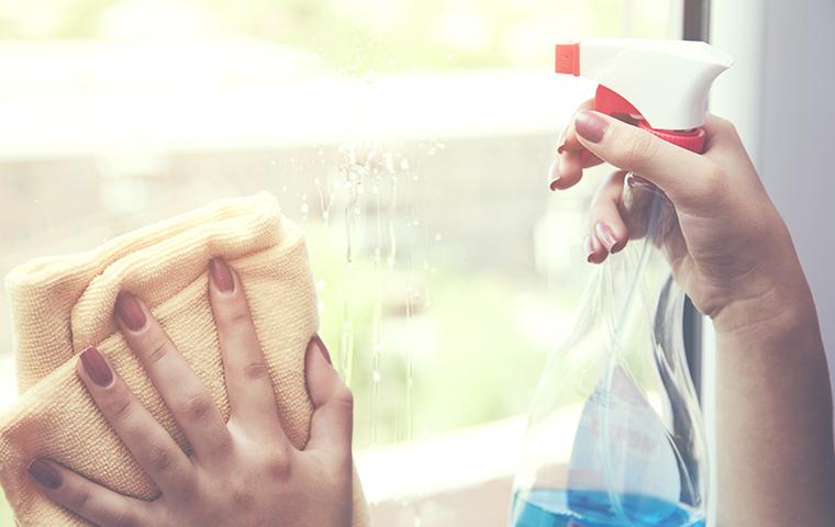 woman cleaning window