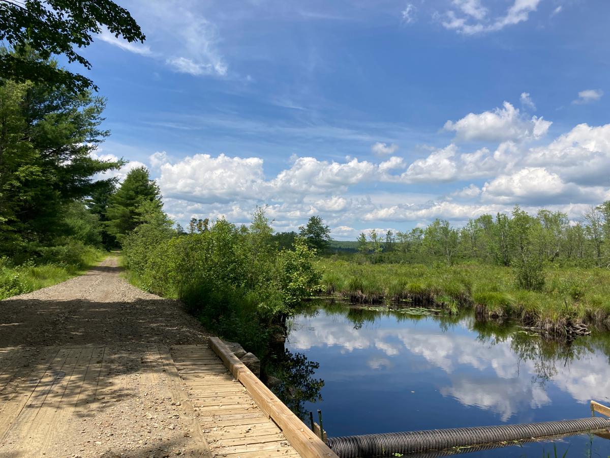 A gravel trail travels away from a bridge next to a waterbody