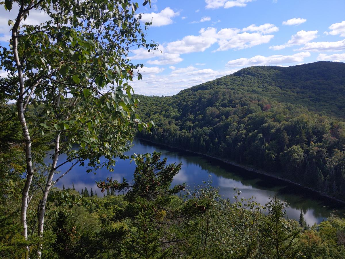 View from O'Leary's Leap Lookout