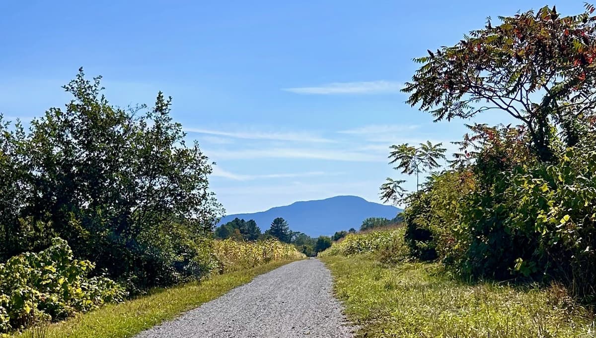 Gravel path with mountain in distance
