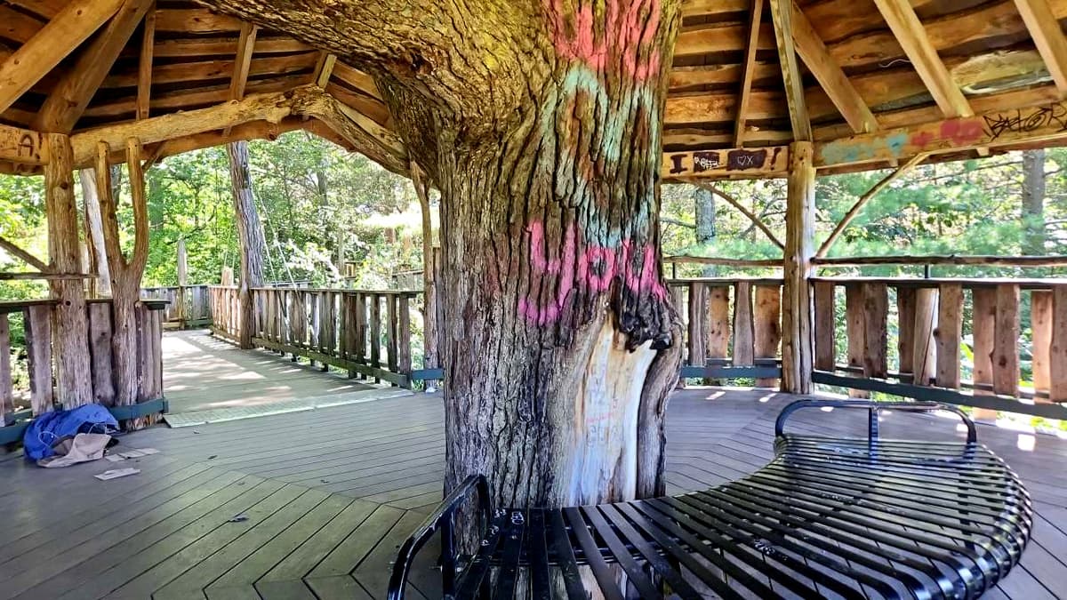 Large tree with a metal bench around it, in an octagonal tree house