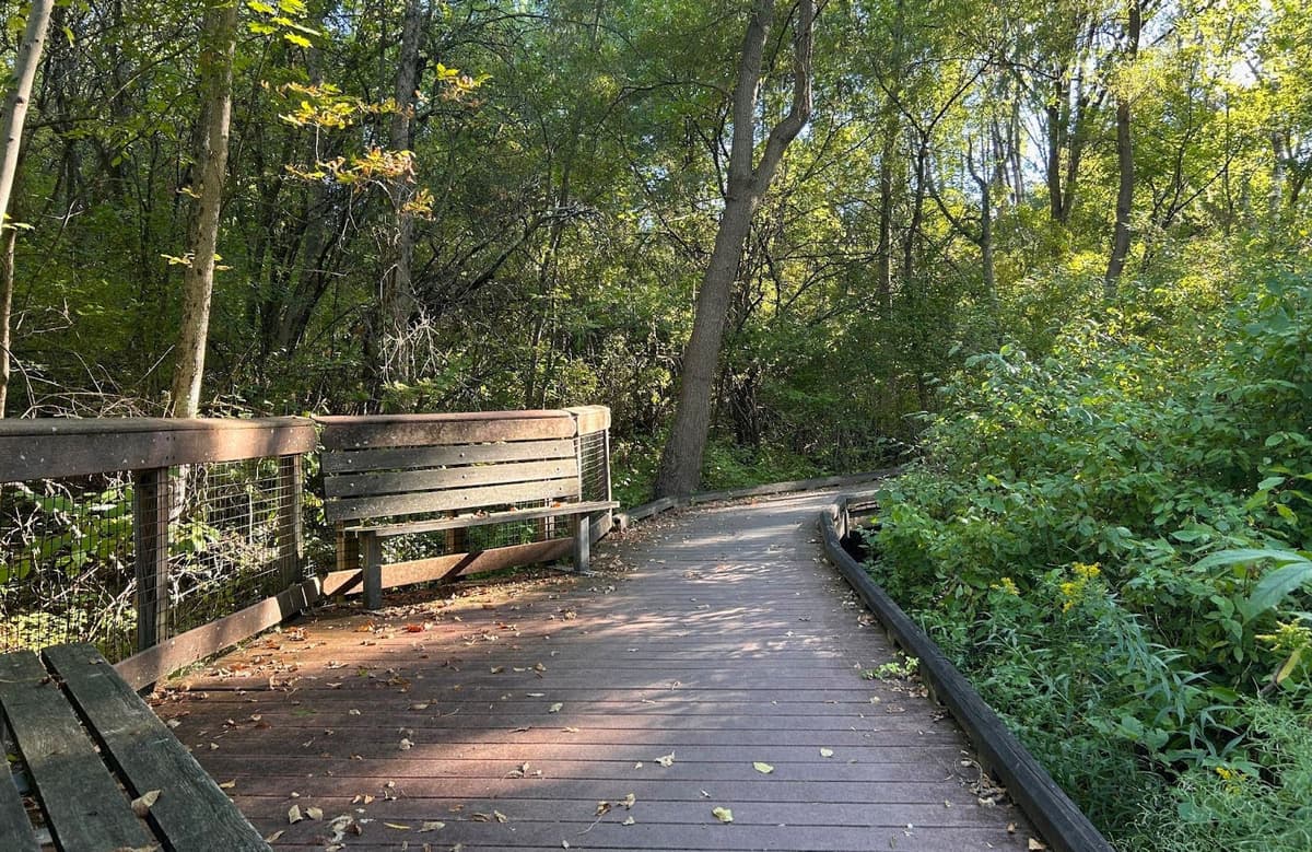 Boardwalk through trees with rim and jut-out with bench