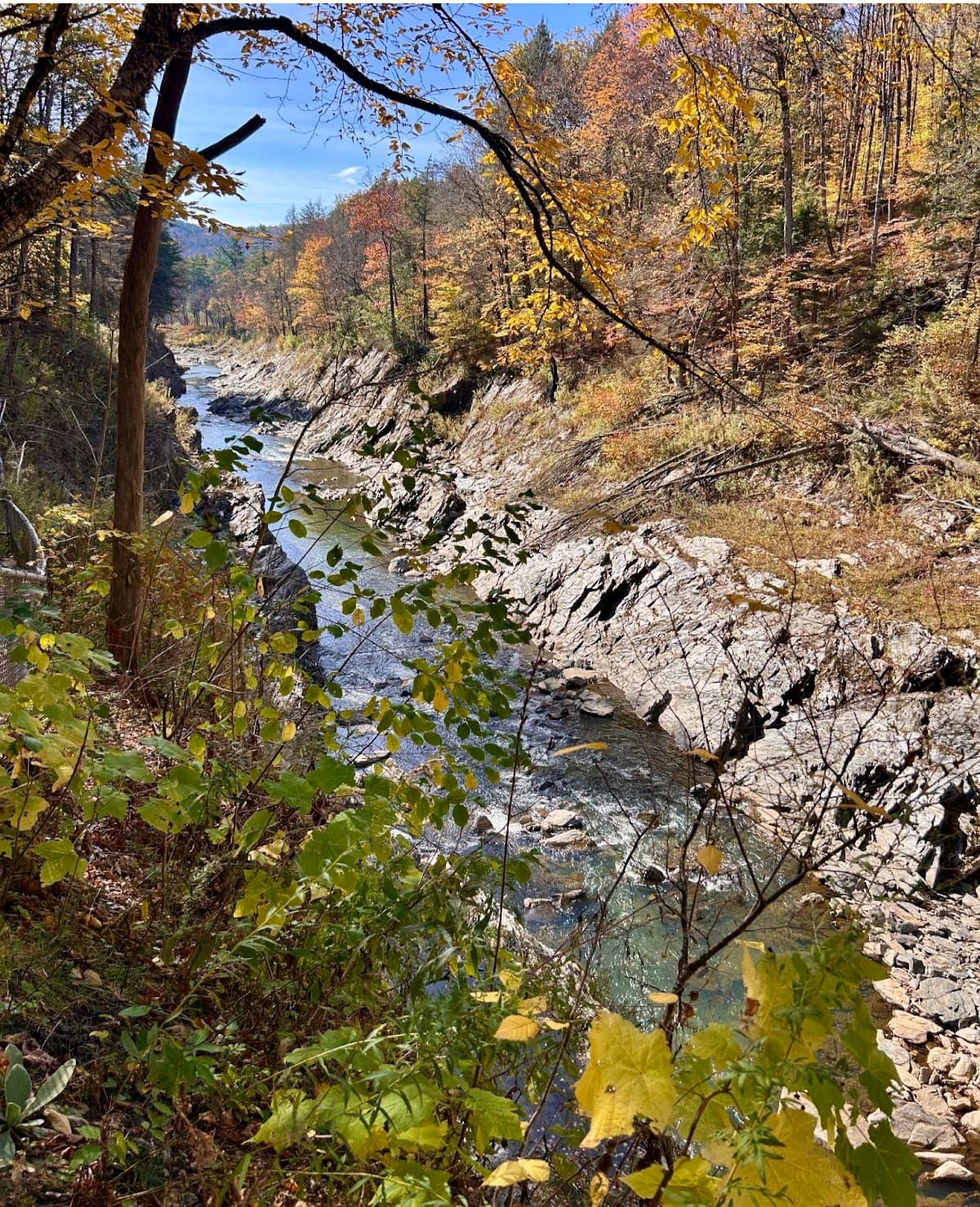 Views of the river from up high