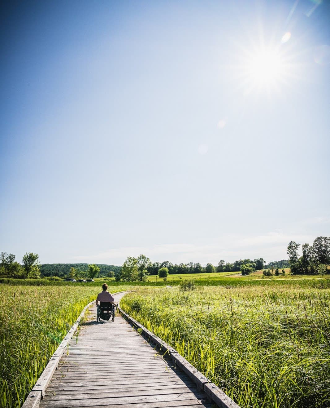 Boardwalk through a field and a bright blue sky overhead, and a woman from behind on boardwalk in distance