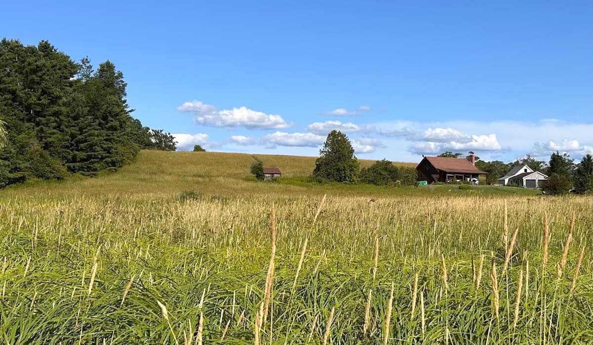 Farmhouse in distance in sunny field with blue skies