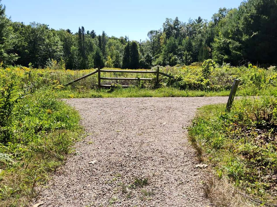 Gravel path trail junction, in field with a fence in the center past the path