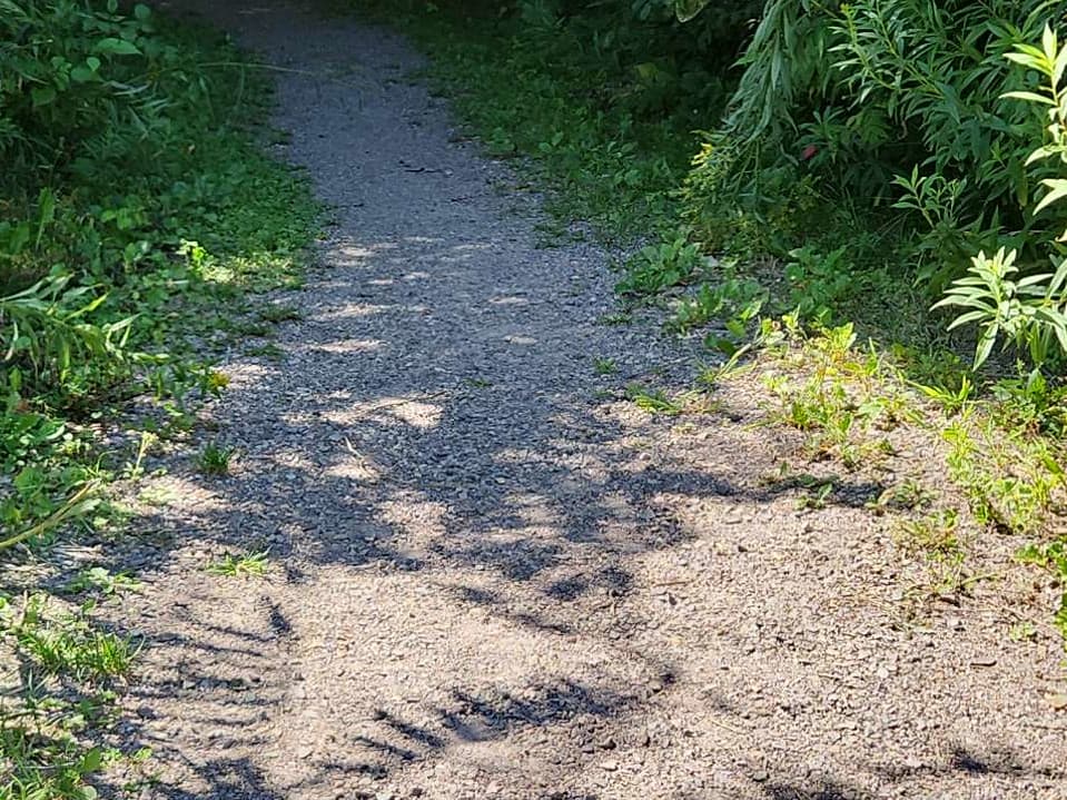 Gravel trail surface