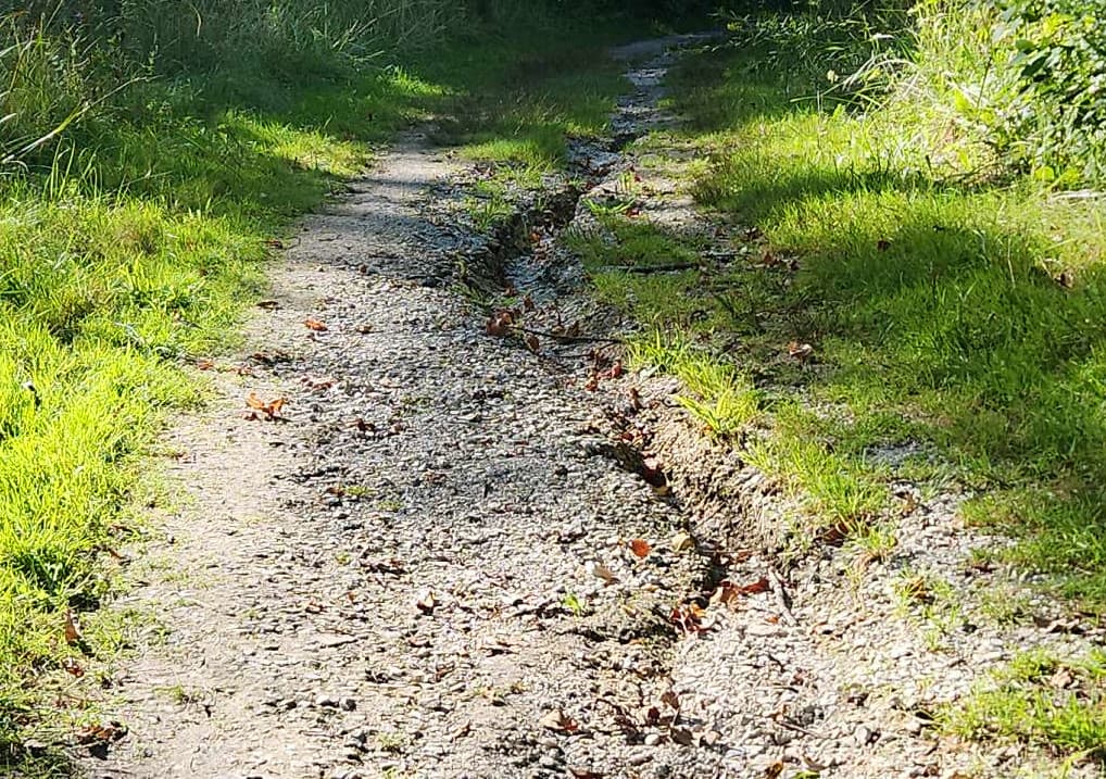 Erosion of gravel trail with grass encroaching