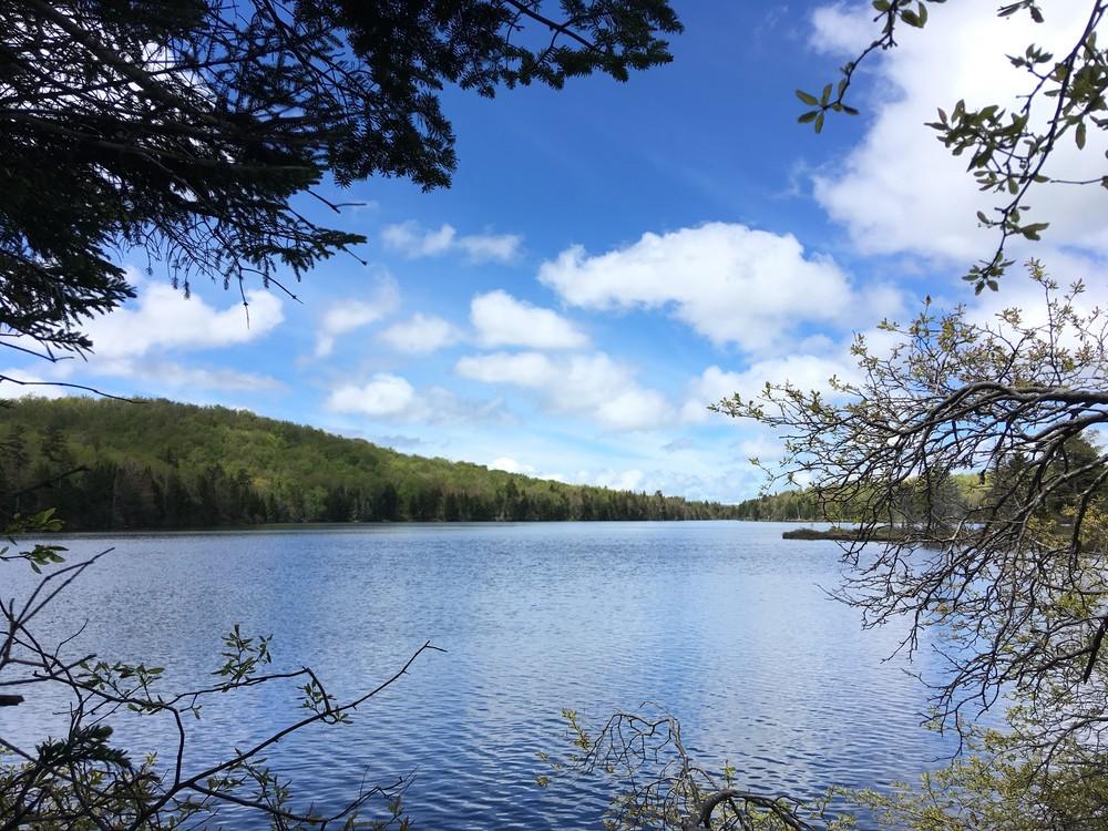 Stratton Pond. Photo credit: Silvia Cassano