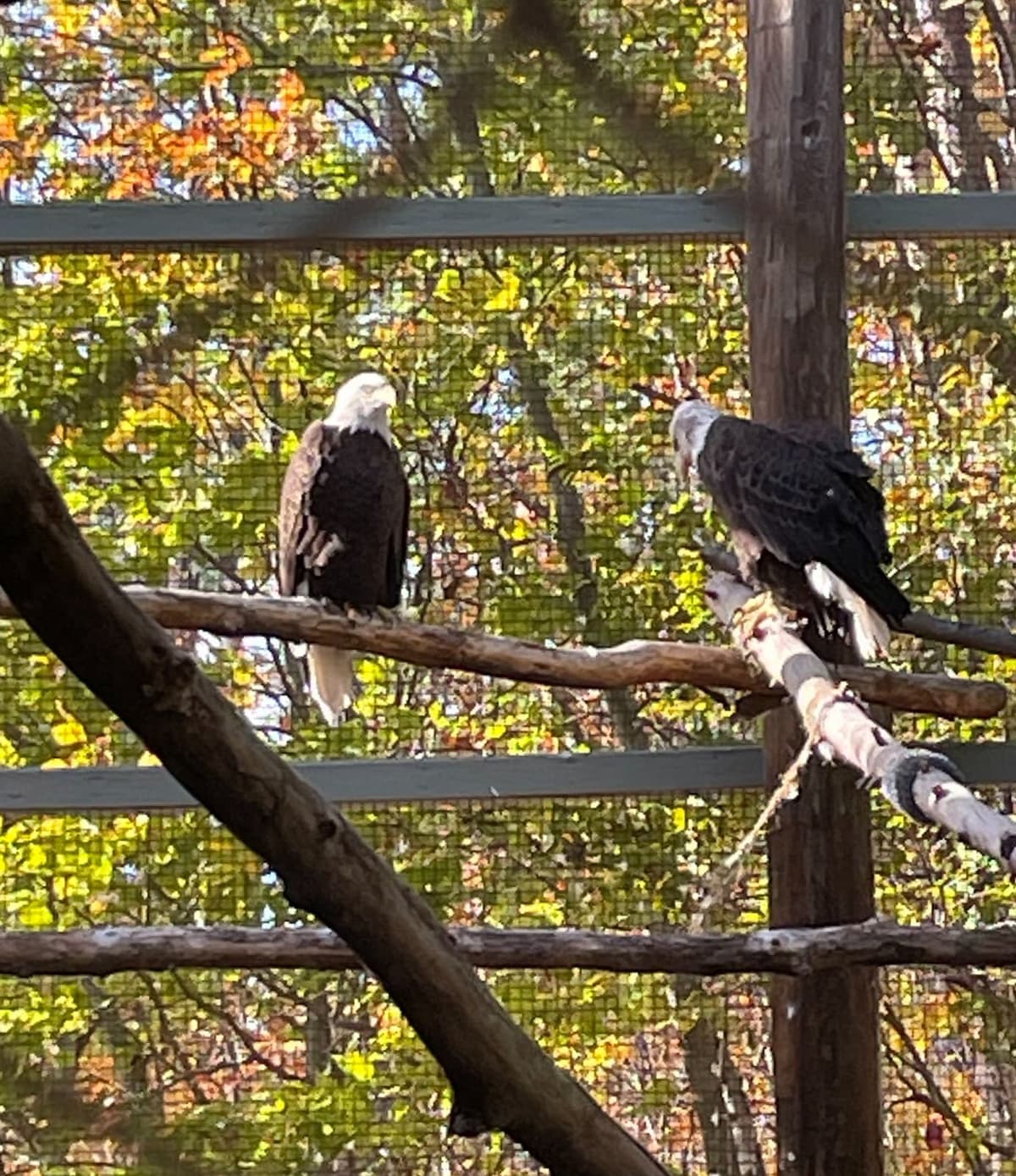 Accessible port-o-potty