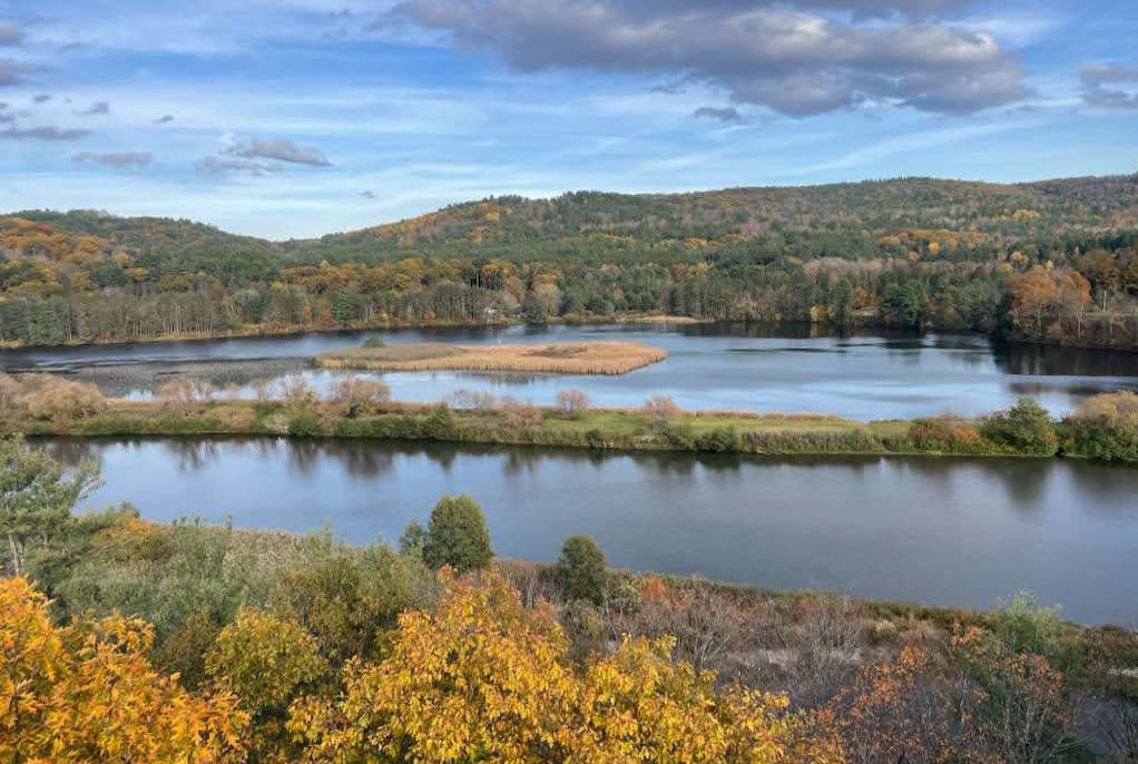 The views from the Canopy Walk are like none other