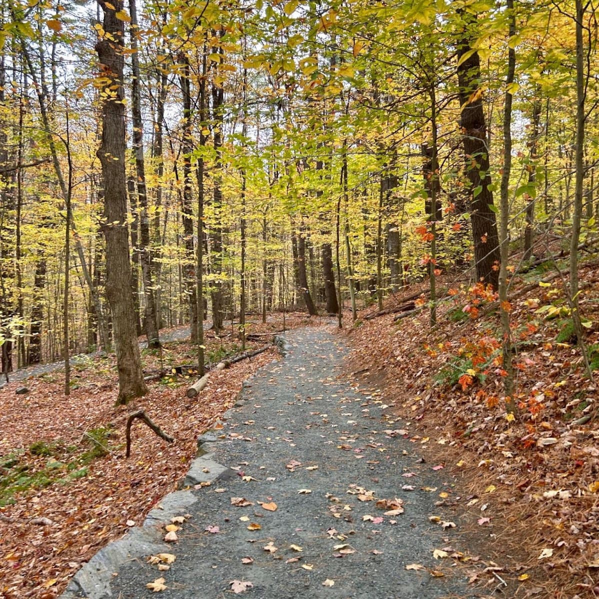 ADA-certified trail winding gently through the woods