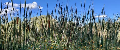 Otter View Park: A Tranquil – and Wheel-friendly – Escape Near Downtown Middlebury