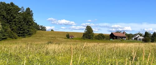 Exploring Raven Ridge: A Short, Peaceful Trail with Big Beauty