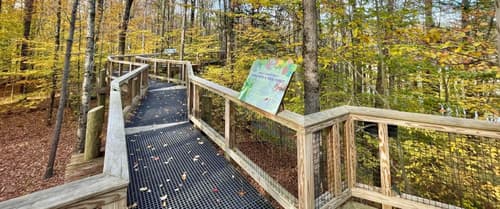 VINS: Getting Into—and Above—the Woods in a Wheelchair