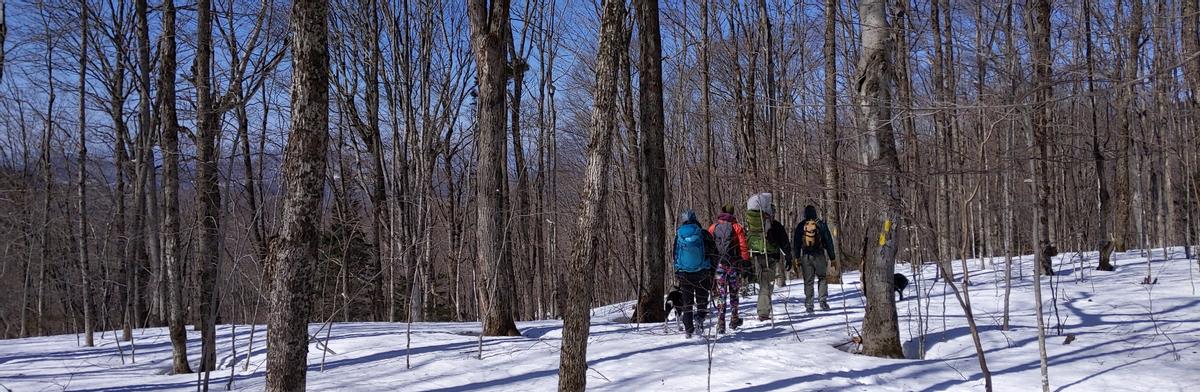 Hiking Haystack in the early spring