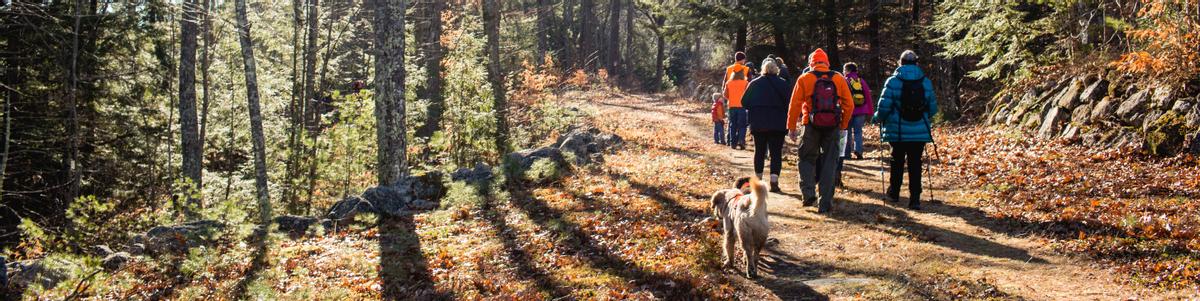 A group walks away along a trail in the autumn