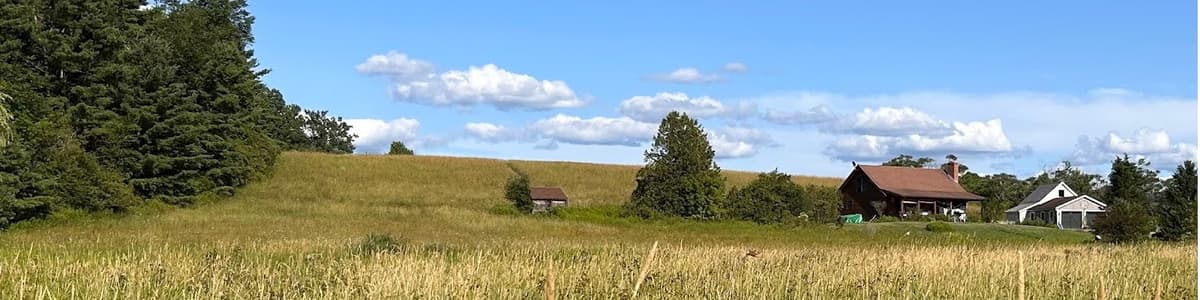 Farmhouse in distance in sunny field with blue skies