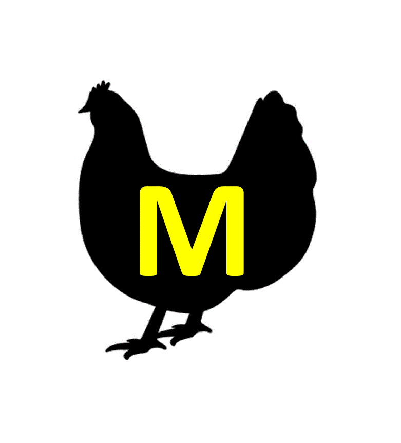 Flying M Farm