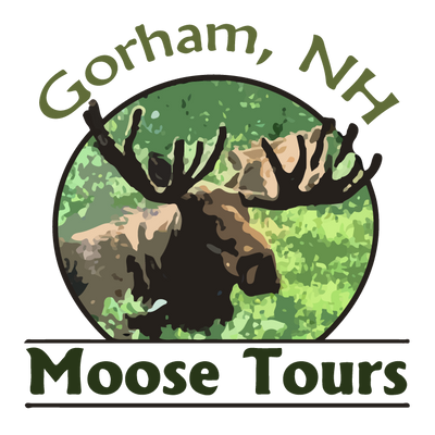 Gorham Moose Tours