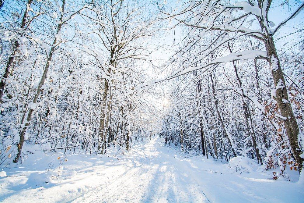 Winter at Seyon Lodge State Park. Photo credit: VT State Parks