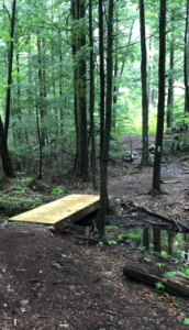 Pulpit Rock Conservation Area - Trail Finder