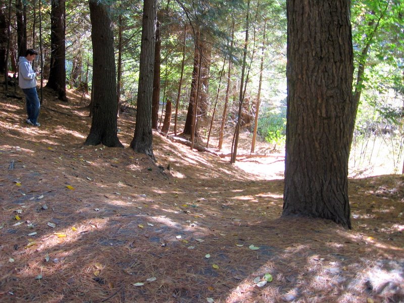 Centennial Woods - Trail Finder